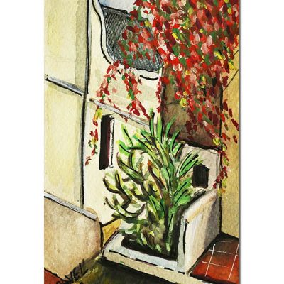 Callejuela Agua Amarga (Almería) V